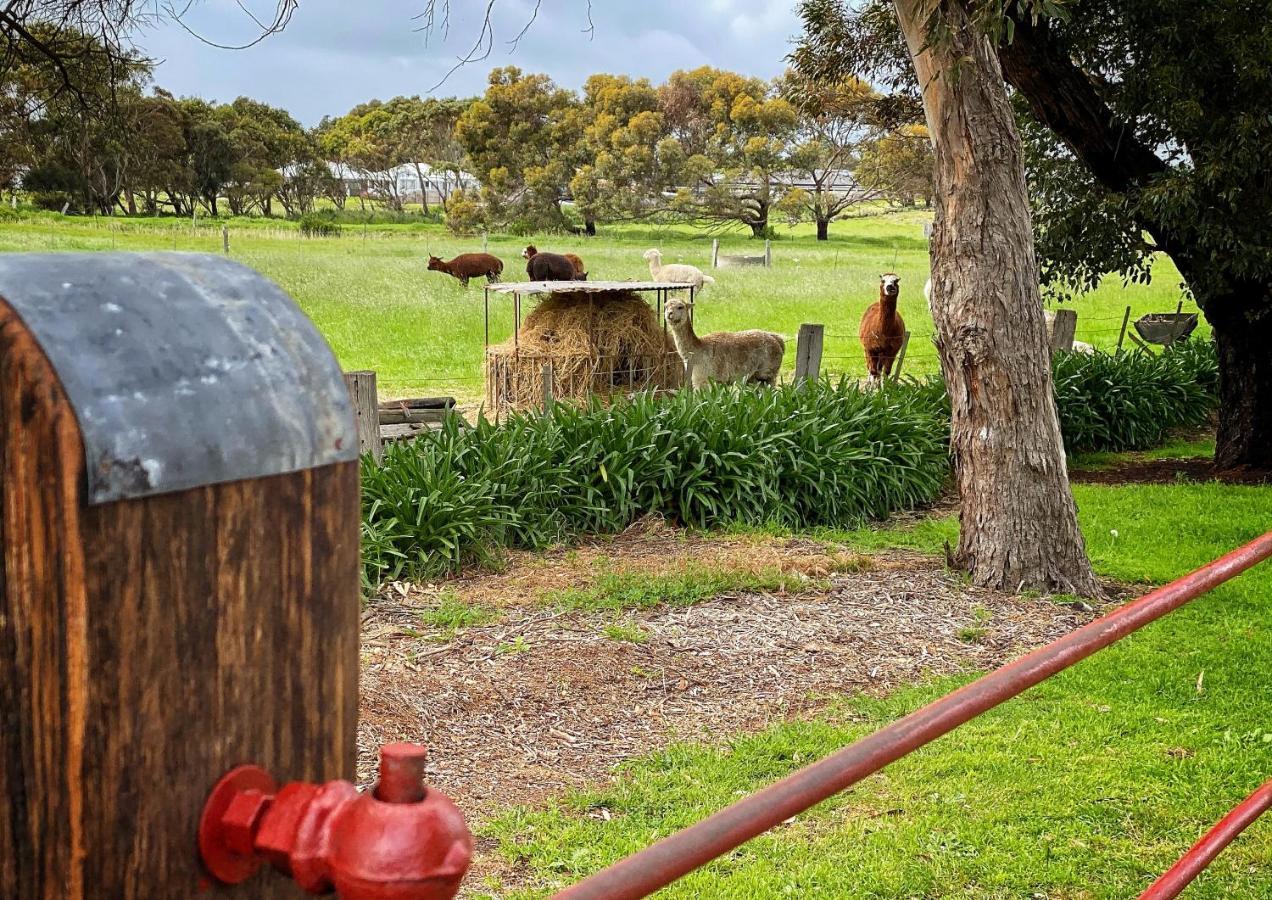 Cherry Plum Cottages Port Fairy Extérieur photo