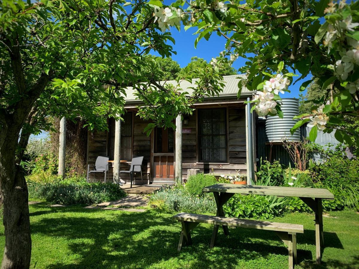 Cherry Plum Cottages Port Fairy Extérieur photo