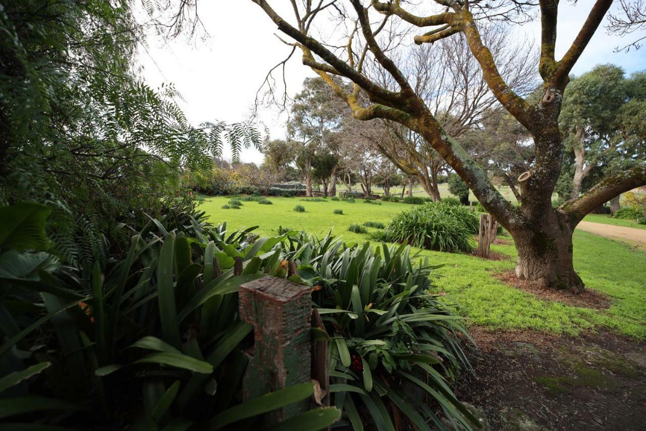 Cherry Plum Cottages Port Fairy Extérieur photo
